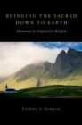 Image for Bringing the sacred down to earth: adventures in comparative religion