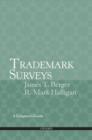 Image for Trademark Surveys: A Litigator&#39;s Guide: A Litigator&#39;s Guide