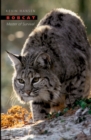 Image for Bobcat Master of Survival