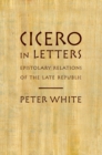 Image for Cicero in letters: epistolary relations of the late republic