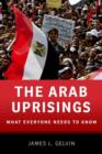Image for The Arab uprisings: what everyone needs to know