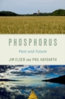 Image for Phosphorus  : past and future