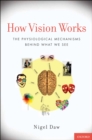 Image for How vision works: the physiological mechanisms behind what we see