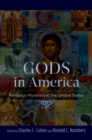 Image for Gods in America: religious pluralism in the United States