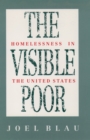 Image for Visible Poor: Homelessness in the United States