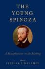 Image for The young Spinoza  : a metaphysician in the making