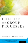 Image for Culture and group processes