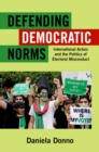 Image for Defending democratic norms: international actors and the politics of electoral misconduct