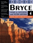 Image for Real world Bryce 3D  : the art of the digital landscape