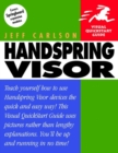 Image for Handspring Visor