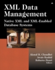 Image for XML data management  : native XML and XML-enabled database systems