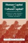 Image for Human Capital or Cultural Capital? : Ethnicity and Poverty Groups in an Urban School District