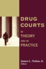 Image for Drug Courts : In Theory and in Practice