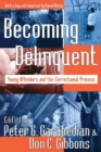 Image for Becoming Delinquent : Young Offenders and the Correctional Process