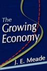 Image for The growing economy
