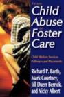 Image for From child abuse to foster care  : child welfare services pathways and placements