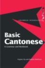 Image for Basic Cantonese: a grammar and workbook