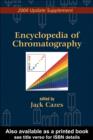 Image for 2004 update supplement [to] Encyclopedia of chromatography