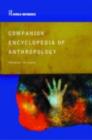 Image for Companion encyclopedia of anthropology