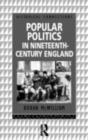 Image for Popular politics in nineteenth-century England