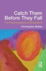 Image for Catch them before they fall: the psychoanalysis of breakdown