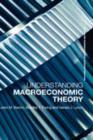 Image for Understanding Macroeconomic Theory