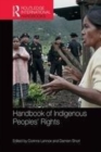 Image for Handbook of indigenous peoples&#39; rights