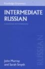 Image for Intermediate Russian: a grammar and workbook