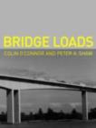 Image for Bridge loads: an international perspective