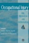 Image for Occupational injury: risk, prevention and intervention