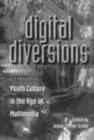 Image for Digital diversions: youth culture in the age of multimedia