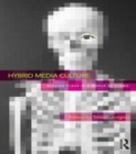 Image for Hybrid media culture: sensing place in a world of flows