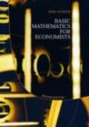 Image for Basic mathematics for economists