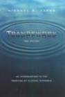 Image for Trancework: an introduction to the practice of clinical hypnosis