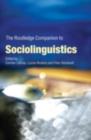 Image for The Routledge companion to sociolinguistics