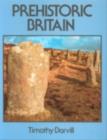Image for Prehistoric Britain: Project File.