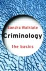 Image for Criminology: The Basics