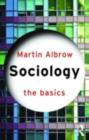Image for Sociology: the basics