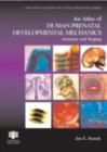 Image for An atlas of human prenatal developmental mechanics: anatomy and staging