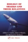 Image for Biology of sharks and their relatives