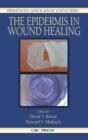 Image for The epidermis in wound healing
