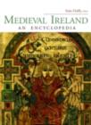 Image for The Church in Medieval Ireland