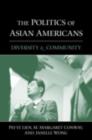 Image for The politics of Asian Americans: diversity and community