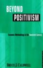 Image for Beyond positivism: critical reflections on international relations