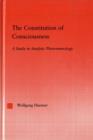 Image for The Constitution of Consciousness: A Study in Analytic Phenomenology