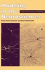 Image for Modeling in the neurosciences  : from ionic channels to neural networks