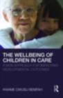 Image for The wellbeing of children in care: a new approach for improving developmental outcomes