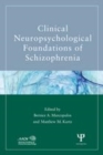 Image for Clinical and neuropsychological foundations of schizophrenia