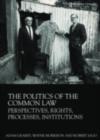 Image for The politics of the common law: perspectives, rights, processes, institutions