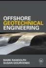 Image for Offshore geotechnical engineering